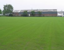 A primary school playing field at Worksop, Nottinghamshire. The area was levelled and drainage installed and then cultivated & re-seeded. Picture taken 3 weeks from seeding date.